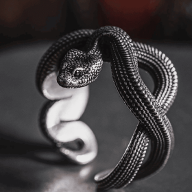 Vintage Punk Style Winding Snake Ring Jewelry For Men